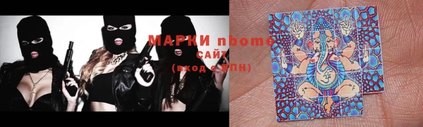 прущие грибы Армянск