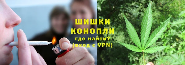 прущие грибы Армянск