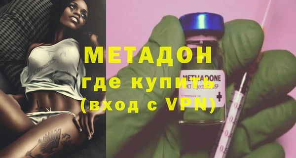 прущие грибы Армянск