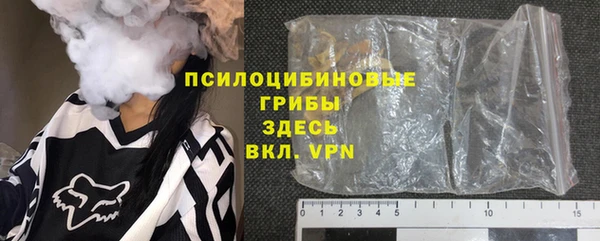 прущие грибы Армянск