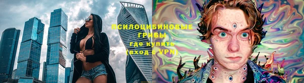 прущие грибы Армянск
