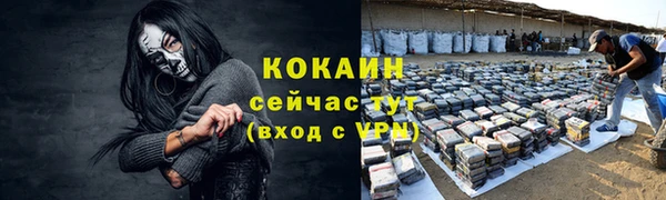 прущие грибы Армянск