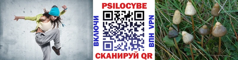 Галлюциногенные грибы мицелий  Спасск-Дальний 