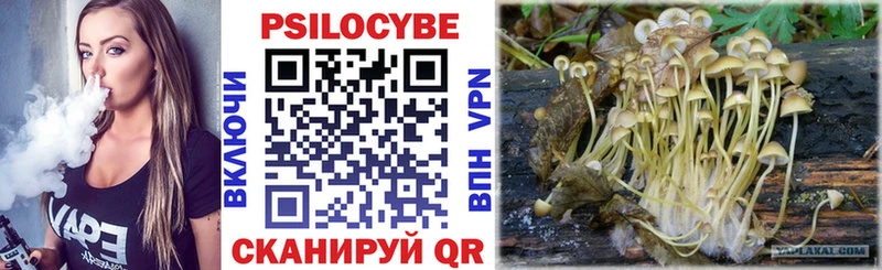 Галлюциногенные грибы Psilocybe Спасск-Дальний